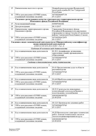 Выписка из ЕГРИП (стр.2) - фото