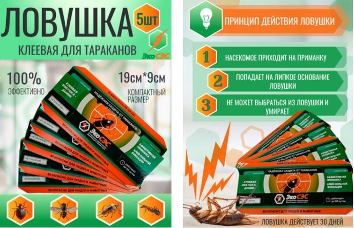 Как выбрать эффективную ловушку для тараканов - фото